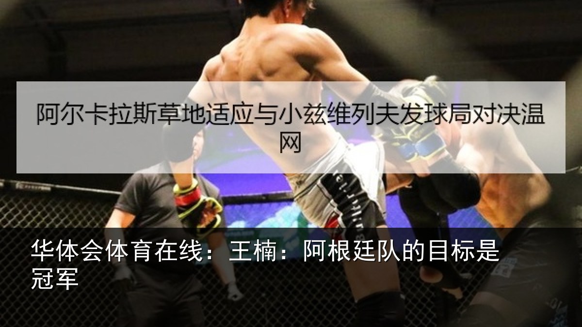 华体会体育在线:王楠:阿根相关情况